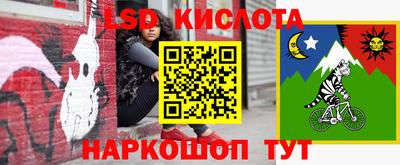 индика Ставрополь