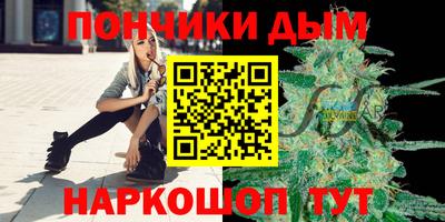 индика Ставрополь