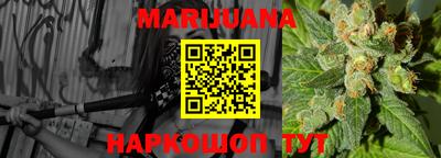 индика Ставрополь