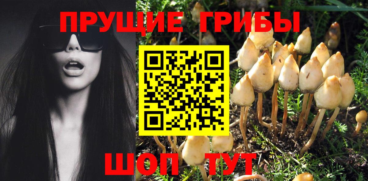 Новотроицк  Галлюциногенные грибы MAGIC MUSHROOMS  Вход с VPN 