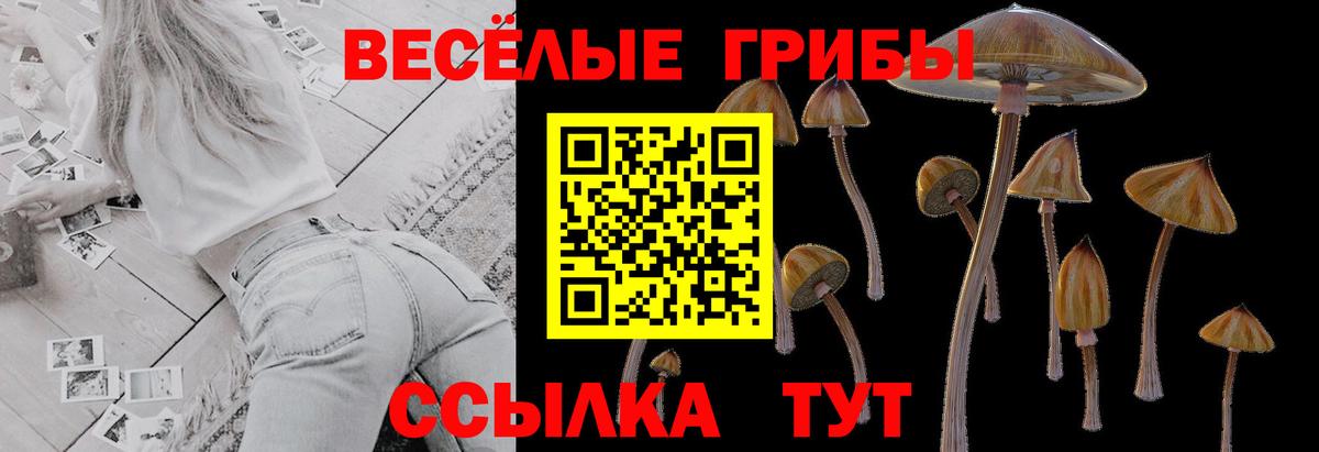 Псилоцибиновые грибы MAGIC MUSHROOMS Новотроицк